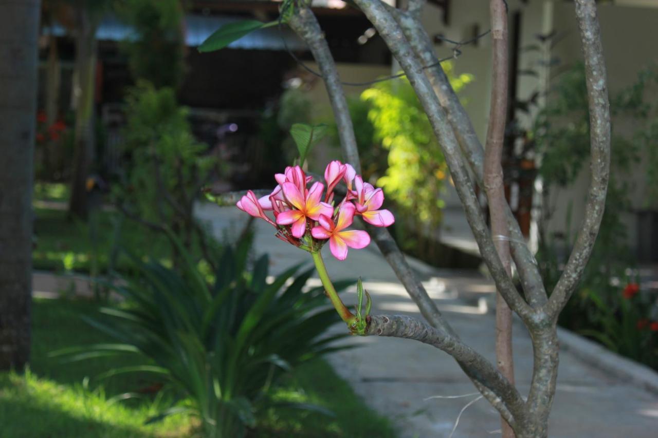 Herry Homestay Kuta  Ngoại thất bức ảnh