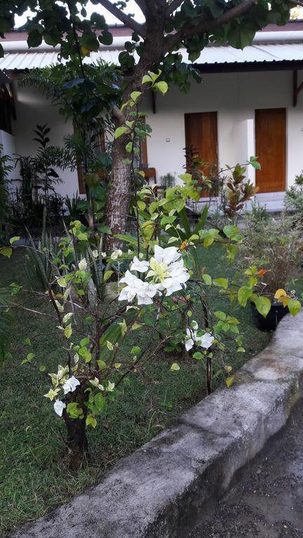Herry Homestay Kuta  Ngoại thất bức ảnh