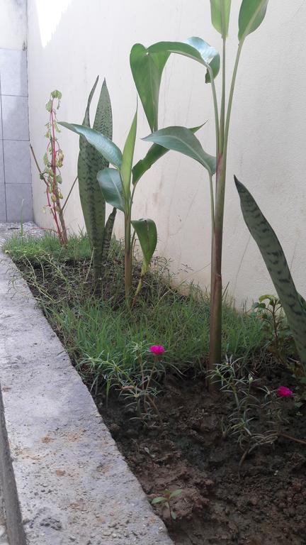 Herry Homestay Kuta  Ngoại thất bức ảnh